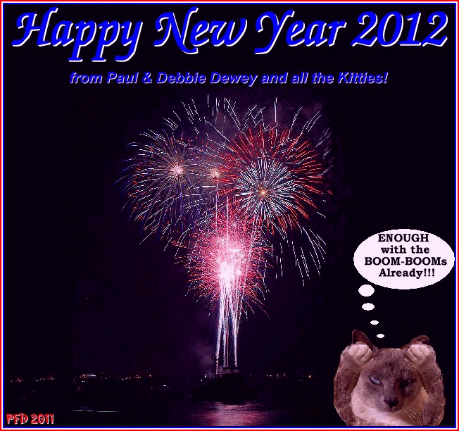 Happy New Year 2012