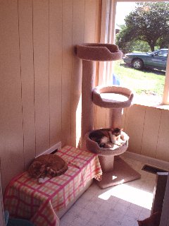The Sunshine Home