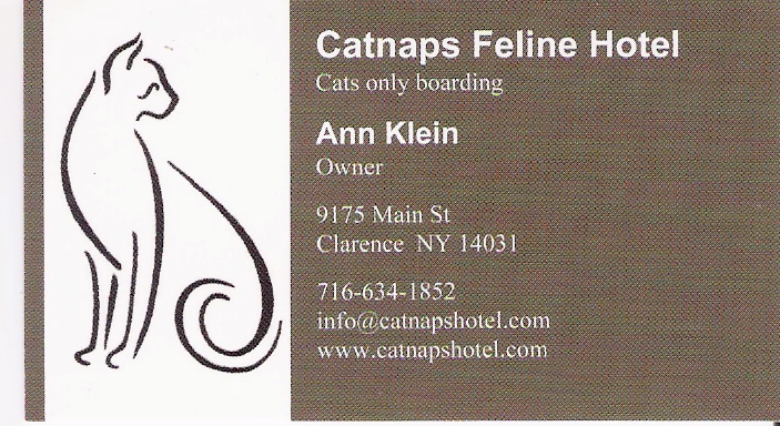 cats