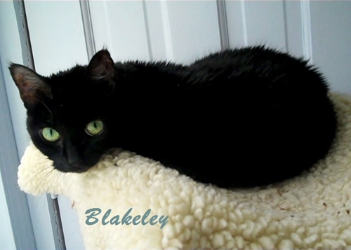 Blakeley