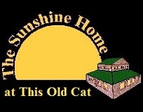 The Sunshine Home at This Old Cat