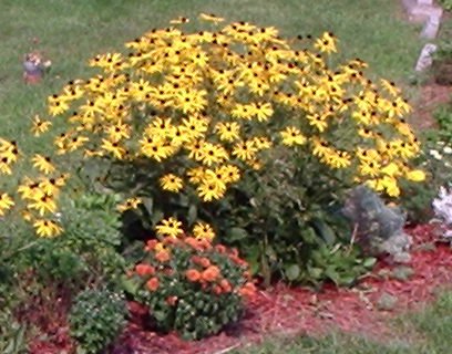 The Sunshine Home