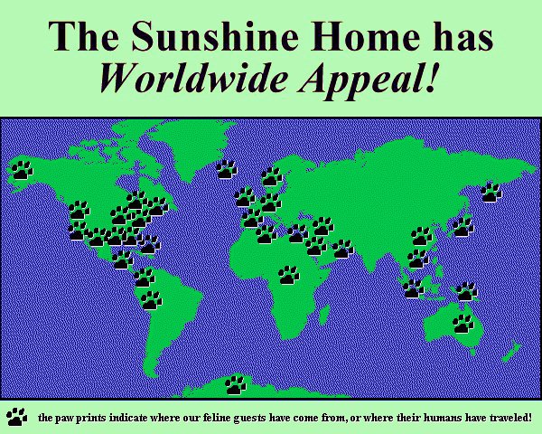 world map